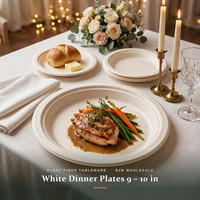 Assiettes en bagasse blanches 9-10 pouces jetables robustes élégantes pour mariages, banquets et traiteurs (vente en gros)