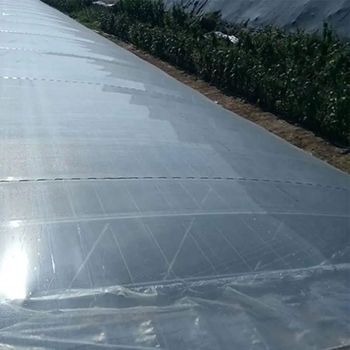 큰 크기 16m 플라스틱 필름 온실 농업