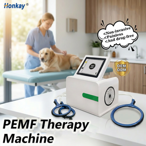 Máquina de Masaje Corporal PEMF para Caballos, Entrenamiento Gratuito, Uso Conveniente, Mejora la Vitalidad, Máquina de Masaje PEMF para Animales para Ranchos de Caballos - Product Image 1