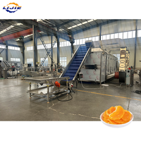 Machine de séchage à bande maillée multicouche de qualité alimentaire pour le traitement continu de l'hameçon, du poivre noir et du curcuma