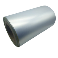 Wasserfeste Matte Silber-Etiketten 40x60mm Thermische Barcode-Aufkleber Anpassbare Größe Thermische PET-Etikettenrollen