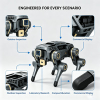 Robot chien quadrupède bionique HiRobot avec caméra HD, contrôlé par PLC, moteur/boîte de vitesses 48V, pompe, roulement, intelligent, à 4 pattes, pour usage industriel, en alliage