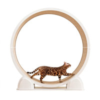 Roue de course pour chat minimaliste en ABS blanc/noir, grand diamètre, affichage numérique silencieux, vente directe d'usine