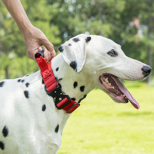 Новый нейлоновый ошейник для собак, роскошный, устойчивый к натяжению, тактический, с металлической пряжкой, для средних/крупных собак, оптом - Product Image 4