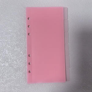 Etiquetas personalizadas de alta calidad Durable PP Multi colores Accesorios de presupuesto Hojas sueltas A6 Sobres de efectivo Set Tab Sobre de efectivo - Product Image 3