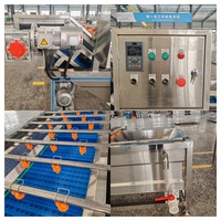 Bellenwasser voor de verwerking van mango, ananas, papaja, drakenvrucht en ander tropisch fruit