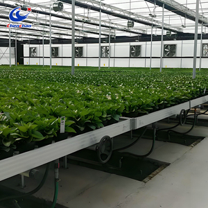 <span class=keywords><strong>Sistema</strong></span> <span class=keywords><strong>de</strong></span> Cultivo Móvil <span class=keywords><strong>para</strong></span> <span class=keywords><strong>Invernadero</strong></span>, Cultivo <span class=keywords><strong>de</strong></span> Frutas y Verduras, Fabricante <span class=keywords><strong>de</strong></span> Sistemas <span class=keywords><strong>de</strong></span> <span class=keywords><strong>Riego</strong></span> <span class=keywords><strong>para</strong></span> <span class=keywords><strong>Invernadero</strong></span> - Product Image 3