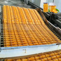 ENAK Tropisch Vers Fruit Geblikte Mandarijn Perzik Gele Perzik Machinebewerking Productielijn