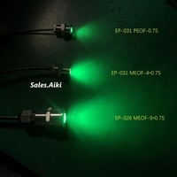 Accessoires d'extrémité de lumière à fibre optique étanches en acier inoxydable 304/306 pour piscine, éclairage à fibre optique étoilée