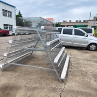 Cage de poussins de type A galvanisée pour élevage de volailles