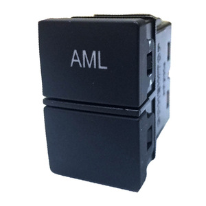 Interruptor de Luz Interior Personalizado de Doble Botón para Honda Vezel, Accord, Civic, Avancier, Crider, 12V, Pieza CD-2231 - Product Image 4