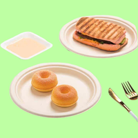 Plato Desechable Ecológico y Compostable de Bagazo, Redondo Clásico, para Fiestas, Restaurantes, Servicios de Comida y Catering