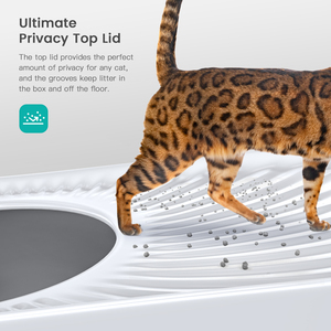 RVS rechthoekige kattenbak, hygiënische geurcontrole, milieuvriendelijk, 90L grote capaciteit, bovenin te betreden, gesloten ontwerp, eenvoudig. - Product Image 2