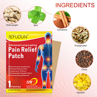 SEFUDUN Soulagement de la Douleur 12 Heures Genoux Taille Poignets Cou Épaules Jambes, Patch Analgésique Longue Durée pour le Dos