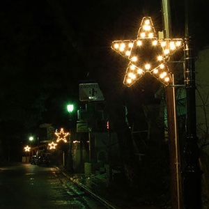 Nhà máy cung cấp mới chất lượng cao dẫn ánh sáng đường phố cực - Product Image 4