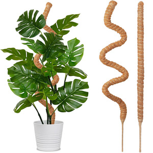 Poteau de support <span class=keywords><strong>pour</strong></span> plantes d'intérieur en fibre de coco, flexible et façonnable, <span class=keywords><strong>pour</strong></span> l'horticulture - Vente chaude - Product Image 1