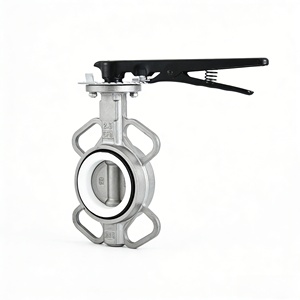 Volant à palette en acier inoxydable D71F de 4 pouces pour l'alimentation en eau et le drainage, applications de conduites chimiques - Product Image 1