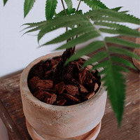 Pots de fleurs de jardin Pots de fleurs d'intérieur et d'extérieur en terre cuite pour la décoration intérieure Pots de fleurs pour plantes d'intérieur et d'extérieur