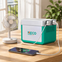 Générateur Solaire Portable 1kWh, Station d'Énergie 300W à Longue Autonomie LiFePO4 pour Ventilateur, Ordinateur Portable, Téléphone et Utilisation d'Urgence