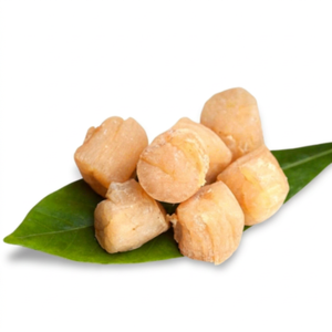 Coquilles Saint-Jacques entières séchées, source riche en protéines pour la nutrition sportive - Product Image 1