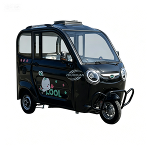Triciclo Eléctrico Cerrado con Toldo Protector que Brinda Comodidad a Prueba de Clima para Desplazamientos Diarios y Recados - Product Image 5