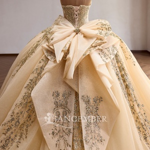 Robe de bal élégante Rsm261029 en tulle champagne avec appliques de sequins dorés et paillettes, style princesse, pour Quinceañera et concours de beauté Jancember - Product Image 5