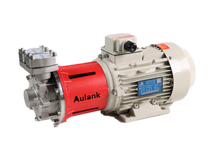 Bomba de Circulación de Accionamiento Magnético con Certificación CE, Rentable, Caudal de 200 L/min, Altura de Elevación de 220m, Presión de 40 Bar para Uso Industrial - Product Image 1