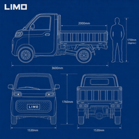 Camioneta Eléctrica LIMO EV, Estándar de Exportación, Vehículo de Cuatro Ruedas, Mini Camión Volquete Eléctrico, Camión de Carga Eléctrico con Caja
