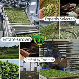 Collection de thé Pu'er du <span class=keywords><strong>Yunnan</strong></span> en direct d'usine, 30 types de mini <span class=keywords><strong>Tuocha</strong></span>, saveurs brutes et mûres, faible MOQ et OEM - Product Image 5