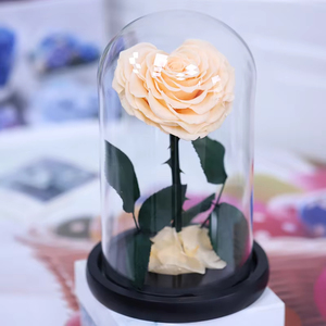Rosa Eterna a Forma di Cuore in Cupola di Vetro, Regalo per la Festa della Mamma, Ispirato al Piccolo Principe - Product Image 2