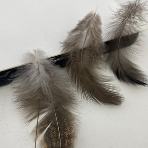 100% plume de canard naturelle pour couette oreiller coussin matériau de remplissage vente chaude lavé naturel 90% plume de canard - Product Image 3