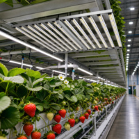 Kruiden, bladgroenten, fruit, bloemen, IP65 gecertificeerde 1300W opvouwbare driekanaals full spectrum kweeklamp voor commerciële kwekers
