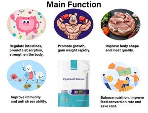 Suplementos alimenticios para cerdos, aditivo para piensos que promueve el crecimiento, suplemento concentrado para piensos porcinos, aumenta de peso rápidamente - Product Image 2