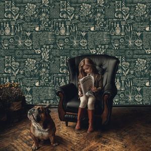 Papel tapiz con tema de hierbas y medicina verde y beige, mural de estilo retro para decoración de dormitorio y sala de estar - Product Image 3