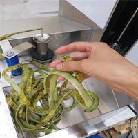 Machine d'épluchage de citrouille d'acier inoxydable d'approvisionnement d'usine/éplucheur de pastèque/machine d'éplucheur de papaye