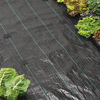 Tissu non-tissé de Spunbond de tapis de mauvaises herbes d'agriculture noire avec la barrière de mauvaise herbe de service de coupe