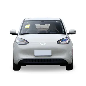 Binguo 2023 203KM plaisir léger Wuling Binguo télécommande économie d'énergie nouveau véhicule d'énergie petite Mini voiture