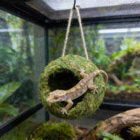 Grottes de mousse verte écologiques, abri rond pour reptiles, grenouilles, serpents, terrarium, vivarium, décor, terrarium pour gecko cranté