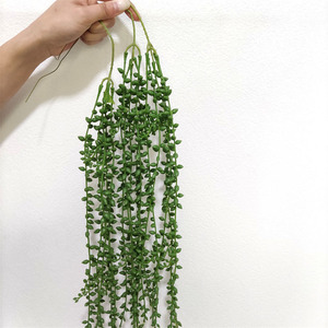 Piante Artificiali Pendenti in Plastica, Pianta delle Perle, Vegetazione Decorativa - Product Image 5