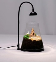 Kit Terrarium Plantes Paysage Personnalisé, Planteur, Plante à Air, Mousse, Globe, Vase Rectangle, Verre, Éclairage de Porte