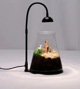 Benutzer definierte Landschaft Pflanzen <span class=keywords><strong>Terrarium</strong></span> Kit Pflanzer Luft Pflanze Moos Terrarien Globe Vase Rechteck Glas <span class=keywords><strong>Terrarium</strong></span> Tür Licht - Product Image 3