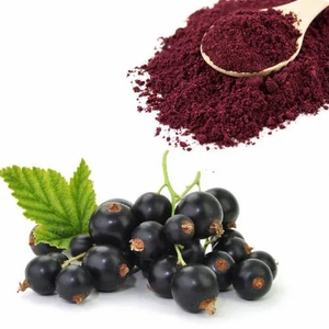 Harga Grosir Bubuk Ekstrak <span class=keywords><strong>Blackcurrant</strong></span> Murni <span class=keywords><strong>Anthocyanin</strong></span> Ekstrak Black Currant 5%-25% Bubuk <span class=keywords><strong>Anthocyanin</strong></span> - Product Image 6