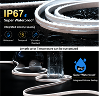 Bandes lumineuses néon en silicone flexibles personnalisées en gros, 2700k-5700k, néon RGBW, néons LED