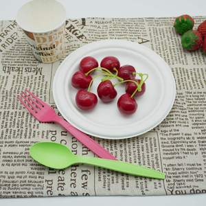 Assiettes écologiques biodégradables en pulpe de bagasse de canne à sucre, carrées et rondes, pour les fêtes et la restauration - Product Image 3