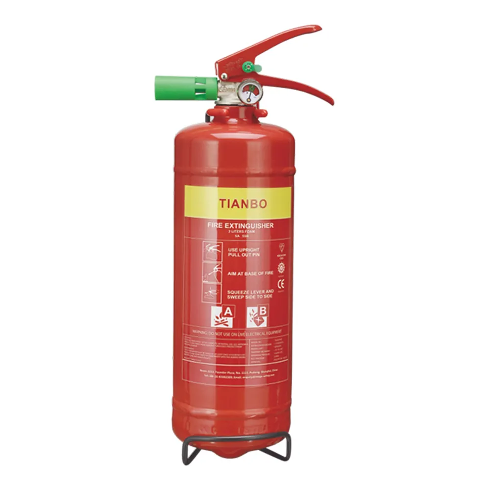 5A 55B valutazione antincendio arresto solido rischio emergenza liquido portatile Spray 2L AFFF schiuma estintore per auto