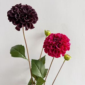 Y-H101 Vente en gros de fleurs de <span class=keywords><strong>dahlia</strong></span> au toucher réel, <span class=keywords><strong>dahlia</strong></span> à 2 têtes, décoration de mariage, décoration de la maison, <span class=keywords><strong>fleur</strong></span> en soie, <span class=keywords><strong>fleur</strong></span> artificielle - Product Image 3