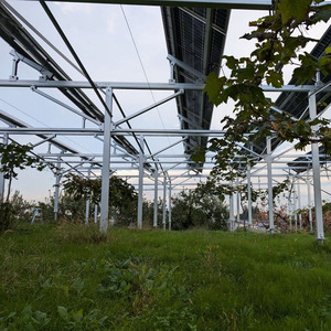 Sistema de Granja Solar Agrícola de 1MW 3MW al por Mayor con Soporte de Suelo Fotovoltaico NS-farm-6 AL6005-T5 - Product Image 1