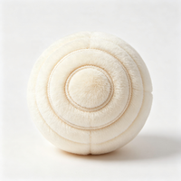 Jouet en peluche personnalisé pour animaux de compagnie, résistant aux morsures, en tissu doux, petit ballon de jeu pour animaux, cadeau de fête, approvisionnement en gros