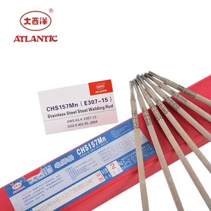 ATLANTIC 2024 Prix usine Électrode <span class=keywords><strong>de</strong></span> soudage flexible en plastique solide standard CHS157Mn E307-15 pour fonte, 5kg ISO9001 - Product Image 2