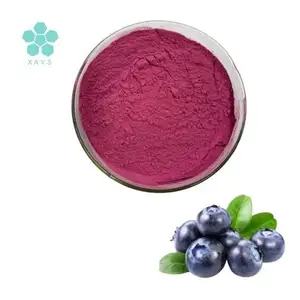 High Quality Water Soluble Wild Blueberry Powder Blueberry Juice Powder